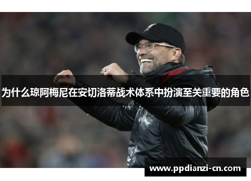 为什么琼阿梅尼在安切洛蒂战术体系中扮演至关重要的角色