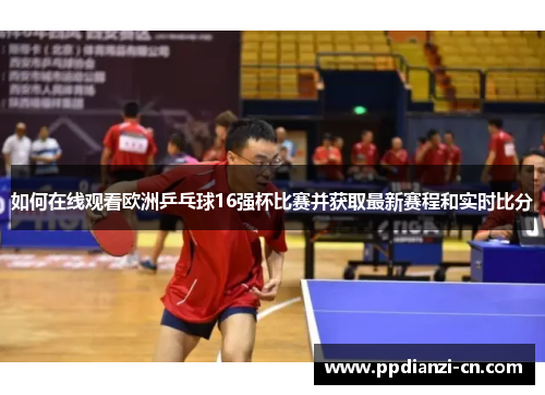 如何在线观看欧洲乒乓球16强杯比赛并获取最新赛程和实时比分