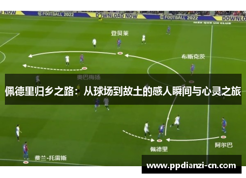 佩德里归乡之路：从球场到故土的感人瞬间与心灵之旅